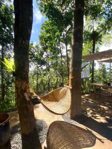A-frame Villa at Tierra Verde, “Little Baguio” Real, Quezon的吊床挂在两棵树之间的院子