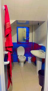 阿加迪尔Amam's Home的一间带卫生间和水槽的小浴室