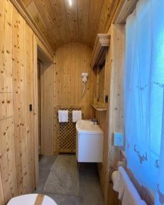 科尔蒂纳丹佩佐盖亚别墅酒店的木墙内带白色水槽的浴室
