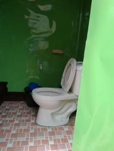 BatuanLHOYJEAN Garden Hostel的一间带卫生间和绿色墙壁的浴室