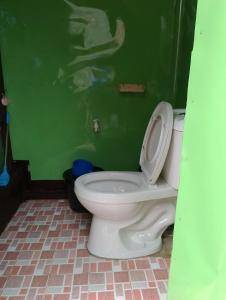 BatuanLHOYJEAN Garden Hostel的绿色墙壁上带卫生间的浴室