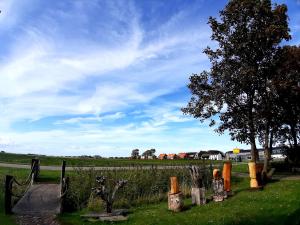 Midden-EierlandPrivate Logies Texel Woodart的草地上有栅栏和树的田野