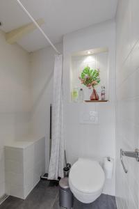 阿姆斯特丹The Amsterdam Houseboat Family - de Jordaan的白色的浴室设有卫生间和淋浴。