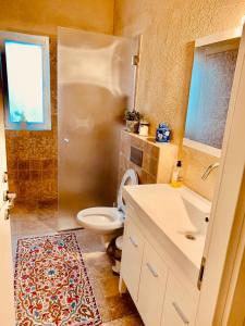 凯法布鲁姆לארח, זה בטבע שלנו的一间带卫生间、水槽和镜子的浴室
