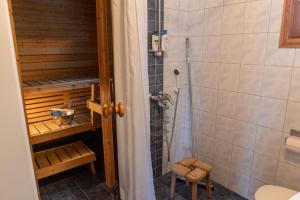 穆奥尼奥Tunturilapin Tuvat的带淋浴和卫生间的浴室