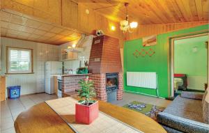 Mścice1 Bedroom Gorgeous Home In Mscice的厨房设有带壁炉的客厅。