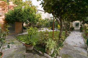 比萨Relais Pacinotti Rooms的庭院里种有树木和植物的花园