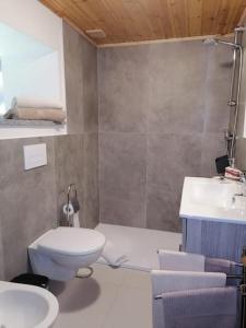 科涅Casa vacanze Portigliatti: Elegante mansarda...的一间带卫生间和水槽的浴室