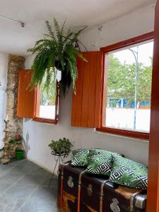 帕拉蒂Hostel Dona Generoza的带沙发和窗户的客厅