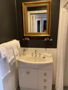 卢拉Burradoo Studio的浴室设有白色水槽和镜子
