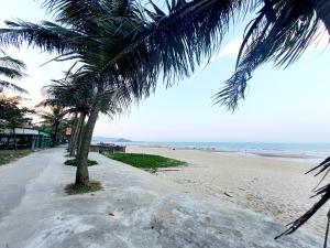 格卢市社Khách sạn Phương Dung的棕榈树和海洋的海滩