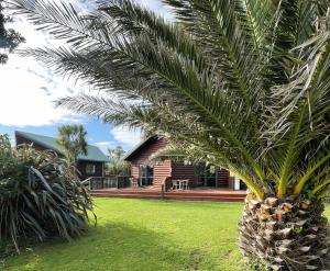 霍基蒂卡闪亮之星海滨酒店的房屋前的棕榈树