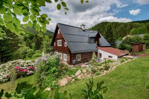 捷克布杰约维采Roubenka Jelen.ka的山丘上一座带黑色屋顶的木屋