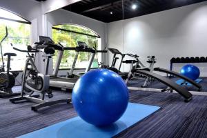 美岸Vivere Condominium的健身房提供数辆健身自行车和蓝色球