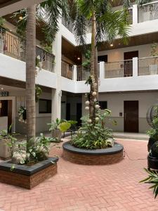 美岸Vivere Condominium的一座种植了棕榈树的庭院