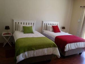 昆斯敦Three Angelz Lodge的两张带绿色和红色枕头的床