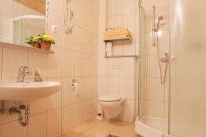 布莱德农场假期浦斯恩酒店的浴室配有卫生间、盥洗盆和淋浴。