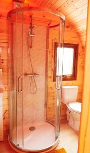 科伊彻奇Bryn Glamping的带淋浴和卫生间的木制浴室