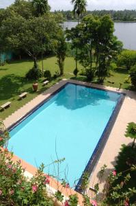 科伦坡Spring of Life的享有大型蓝色游泳池的顶部景致