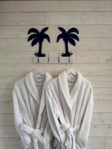 鲁雷特Domaine de Roullet的两条毛巾挂在棕榈树墙上