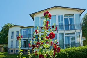 洛默洛默全景酒店的前面有红花的房子
