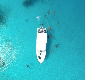 ThinadhooEcoboo Maldives的一群人坐在船上