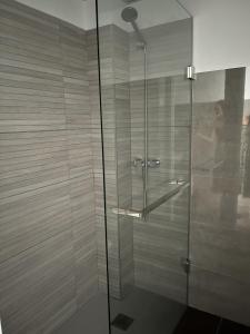 哈恩Coello 31的浴室里设有玻璃门淋浴