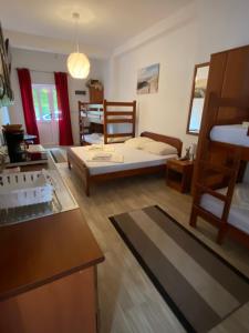 昆博Vila Ćorović的一间带一张床的客厅和一间带厨房的房间