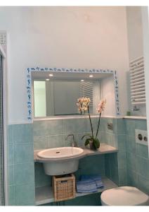 彼得拉桑塔Casa Stella的一间带水槽、镜子和卫生间的浴室