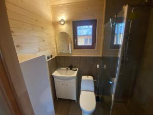 博尔斯克Kaszub的一间带卫生间和水槽的小浴室