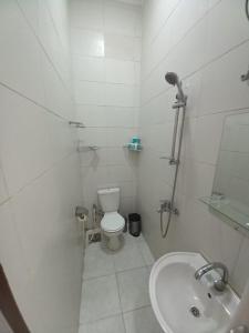 阿斯旺BAYT ZAINA - Nubian hospitality house的白色的浴室设有卫生间和水槽。