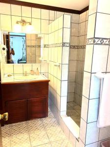 奎波斯城Lovely 2-BDroom Condo in Laguna Eco Village Resort的一间带水槽、淋浴和镜子的浴室