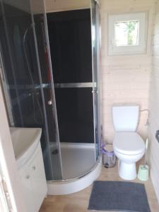 吉日茨科Domek u Ani的一间带卫生间和淋浴的小浴室