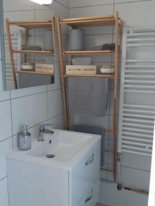 第戎Cosy T2 31m2 - Centre-Ville Dijon - Gare et Darcy的一间带水槽和镜子的小浴室