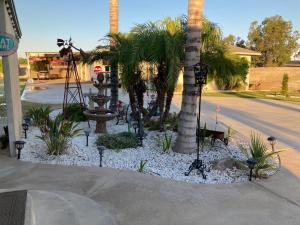 贝克斯菲尔德My Oasis的棕榈树和街道上的喷泉景观