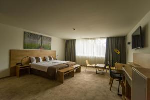 皮瑞伯德Hotel Prebold的配有一张床和一张书桌的酒店客房