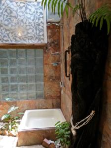 博拉巴图Orchid House的带浴缸和植物的浴室