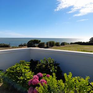 波尔尼克Loralistudios, Maison en bord de mer的阳台种有鲜花,享有海景