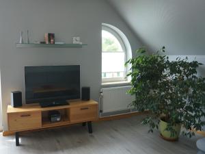 石勒苏益格Villa Ostgardie的客厅配有平面电视和植物