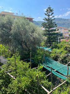 索伦托Sorrento's Carme family big appartament的山坡上带围栏和树木的花园