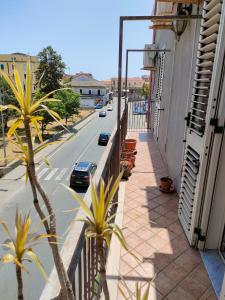 卡坦扎罗Appartamento Due Camere Magna Graecia的棕榈树和街道建筑的阳台