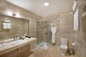 韦林格勒公园和Spa维拉山酒店的带淋浴、卫生间和盥洗盆的浴室