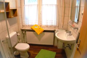 格斯韦因斯泰因苏木洛文宾馆的一间带卫生间和水槽的小浴室