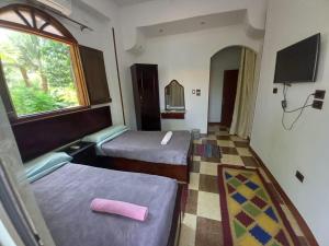阿斯旺BAYT ZAINA - Nubian hospitality house的酒店客房设有两张床和窗户。