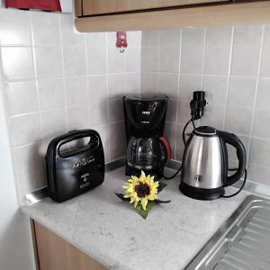 萨米Ralloy Hoyse的厨房柜台配有咖啡壶和向日葵