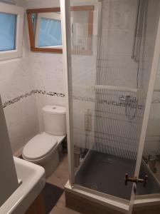 拉纳肯Vakantiehuisje的一间带卫生间和玻璃淋浴间的浴室