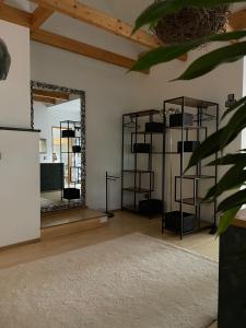 索尔陶Atelier Tiedemann的一间设有镜子和地毯的房间