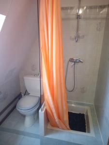 Artannes-sur-IndreGITE LA GRANDE AVALOUX的浴室内配有橙色淋浴帘和卫生间