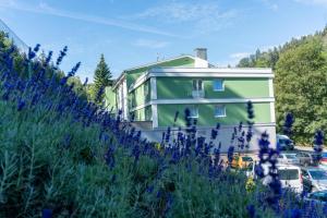 Pirkenhammer绿色天堂健康酒店的紫色花田旁边的绿色建筑