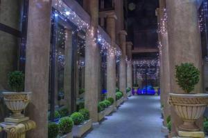 胡内多阿拉波里法德酒店的建筑里带有盆栽和灯的走廊